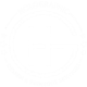 Logo_holographic_SF